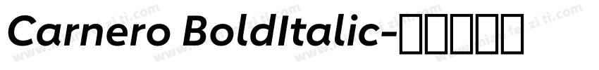 Carnero BoldItalic字体转换